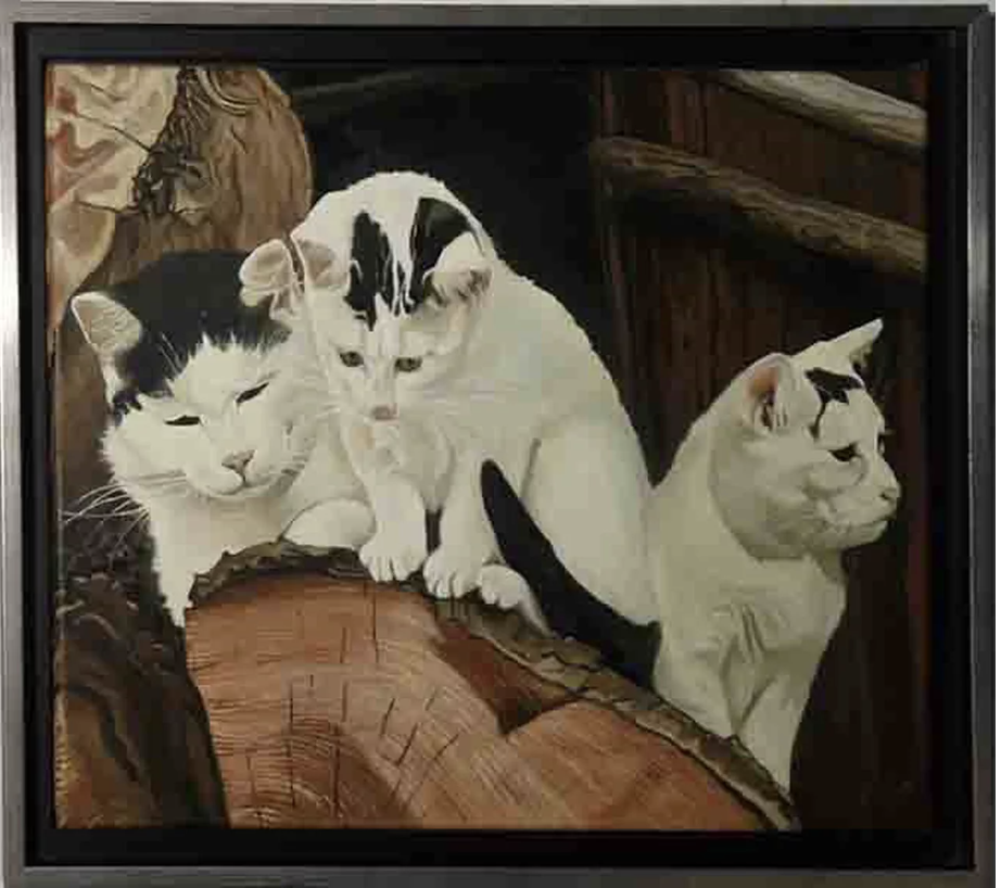 LES CHATONS